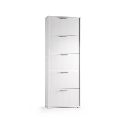 Dmora Scarpiera Margherita, Mobile multiuso da ingresso con 5 ante a ribalta, Armadietto portascarpe moderno, Made in Italy, Cm 67x18h184, Bianco