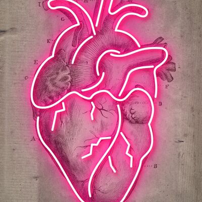 Stampa diagramma vintage cuore al neon - 50 x 70 - Opaco