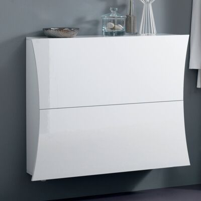 Dmora Scarpiera moderna, Made in Italy, a 2 ante, Portascarpe da ingresso, cm 101x27h82, colore Bianco lucido