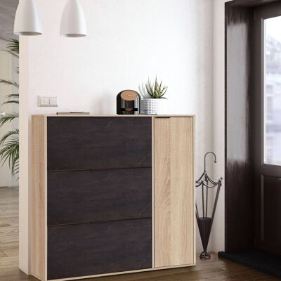 Dmora Scarpiera Provo, Armadio portascarpe a 4 ante, Mobile basso multiuso con 5 ripiani, Scarpiera moderna, cm 106x22h115, Rovere e Nero