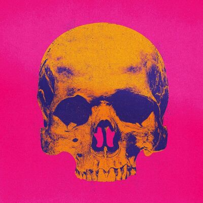 Impresión de calavera rosa y naranja estilo Pop Art Warhol - 50x70 - Mate