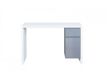 Bureau Dmora avec 1 tiroir et 1 porte, couleur gris et blanc, cm 120x50x75 2