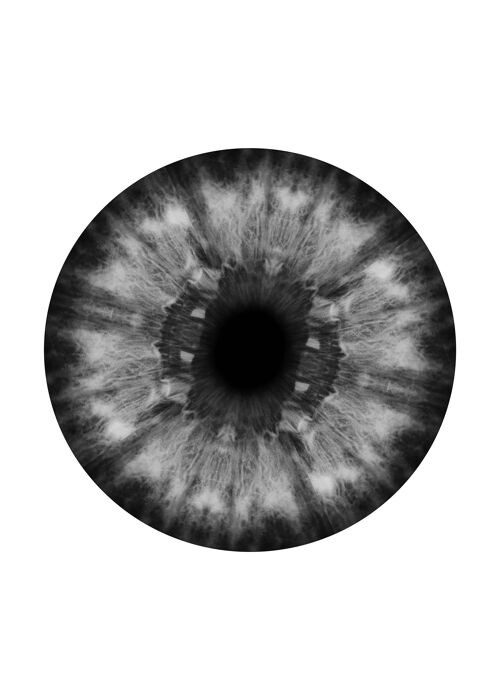 Eyeball Black And White Print - 50x70 - Matte