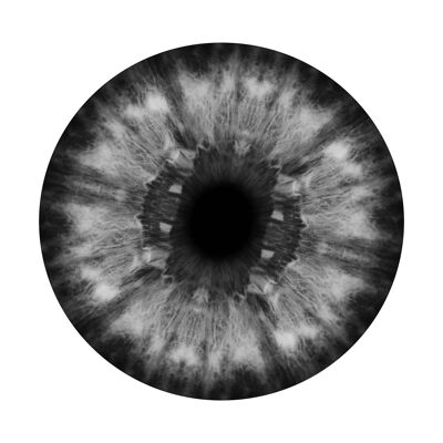 Impresión de globo ocular en blanco y negro - 50 x 70 - Mate