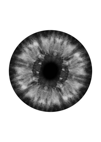 Eyeball Imprimé Noir Et Blanc - 50x70 - Mat 1