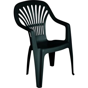 Dmora Chaise d'extérieur Parma, Siège de jardin, Chaise pour table à manger, Fauteuil d'extérieur, 100% Made in Italy, Cm 58x56h89, Vert 1