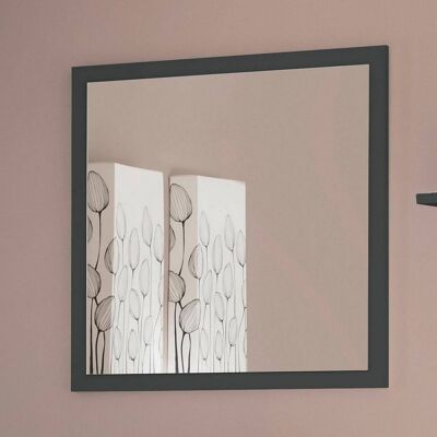 Dmora Specchiera da parete con cornice, Made in Italy, Specchio da bagno, cm 60x2h60, Antracite lucido