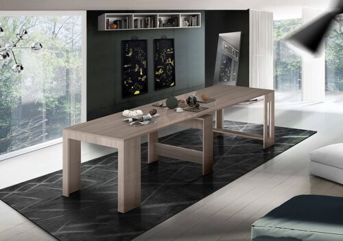 Dmora Tavolo da pranzo moderno, Made in Italy, Consolle allungabile fino a 12 posti, con portallunghe, cm 51/300x90h77 Olmo perla