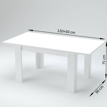 Table de salle à manger extensible Dmora, Made in Italy, Table moderne avec rallonges, Console extensible, cm 120/170x90h75, Blanc brillant 5