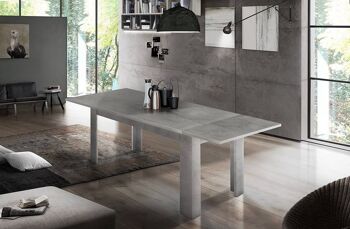 Table de salle à manger extensible Dmora, Made in Italy, Table moderne avec rallonges, Console extensible, cm 120/170x90h75, Ash Grey