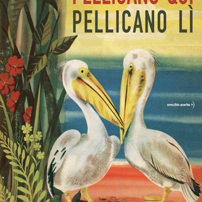 Pellicano qui pellicano lì