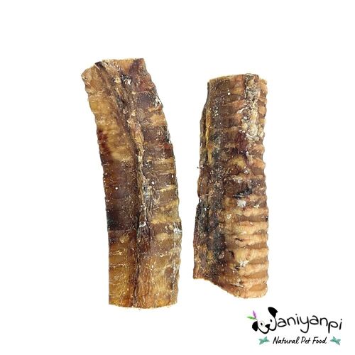 Traquea de ternera 1Kg/3Kg - Cow Trachea - Bulk 1 Kg/3Kg