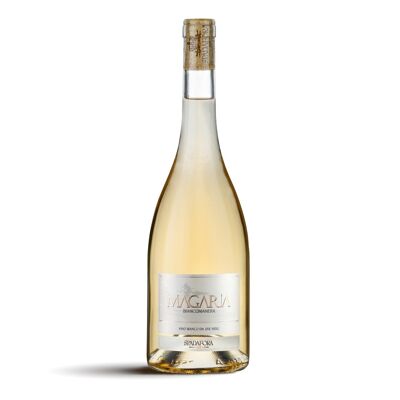 Kalabrischer Weißwein Magaria Spadafora 0,75 cl