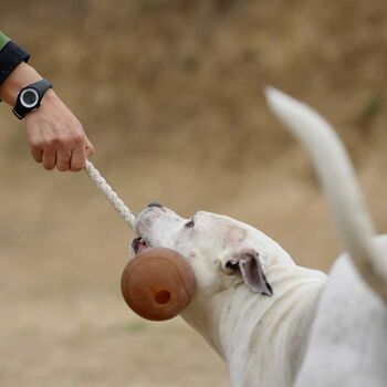 Jouet pour chien en corde avec balle frottante - XL 5