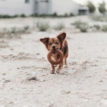 Jouet pour chien à morsure frottée 9