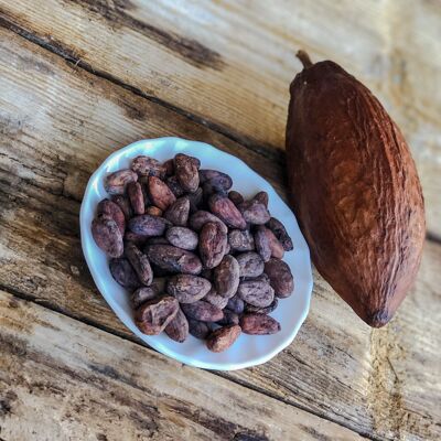 Granos de cacao orgánico crudo criollo