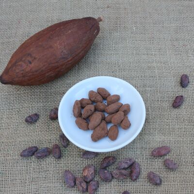 Organic chocolate beans