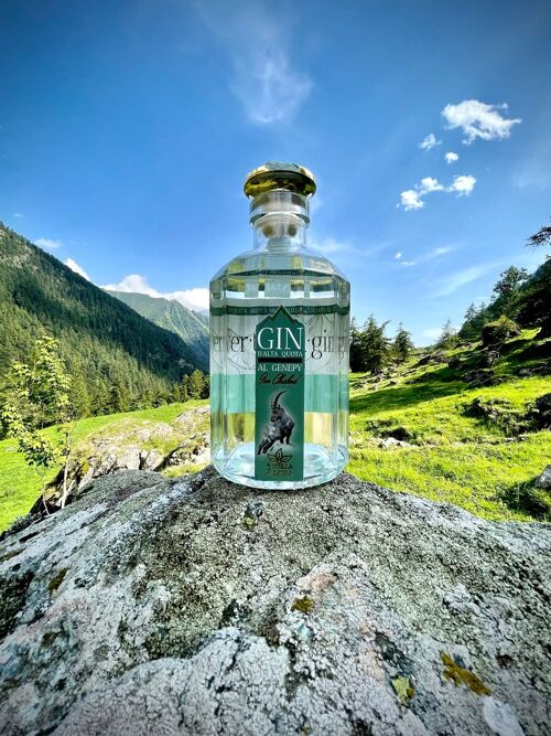VertiGin - Il Gin aromatizzato al genepy