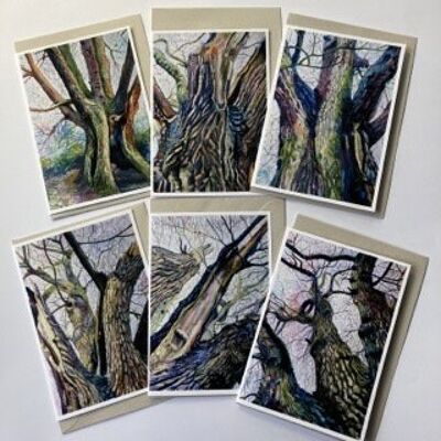 Set of 6 Wise Old Oak Greetings Cards