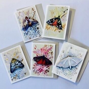 Lot de 5 mini cartes papillon 3