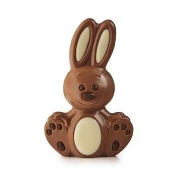 MOULAGE EN CHOCOLAT LAPIN DE PÂQUES 60g - 10 moulages 1