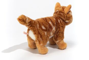 Chat maquereau rouge debout 20 cm - peluches - peluches 9