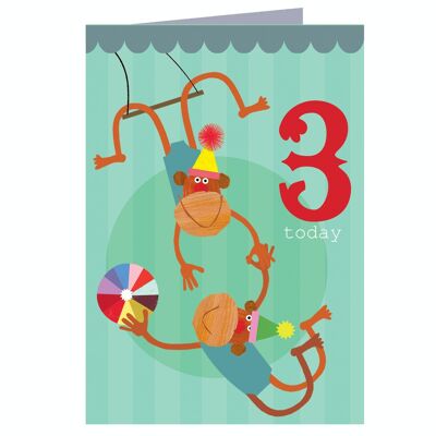 Carte d'anniversaire 3ème singes CZ03