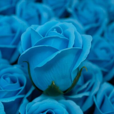 Soap Flowers - Medium - Sky Blue Rose