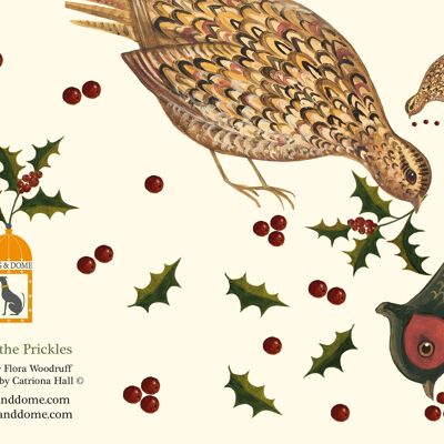 Pecking the Prickles Christmas card and recycled envelope