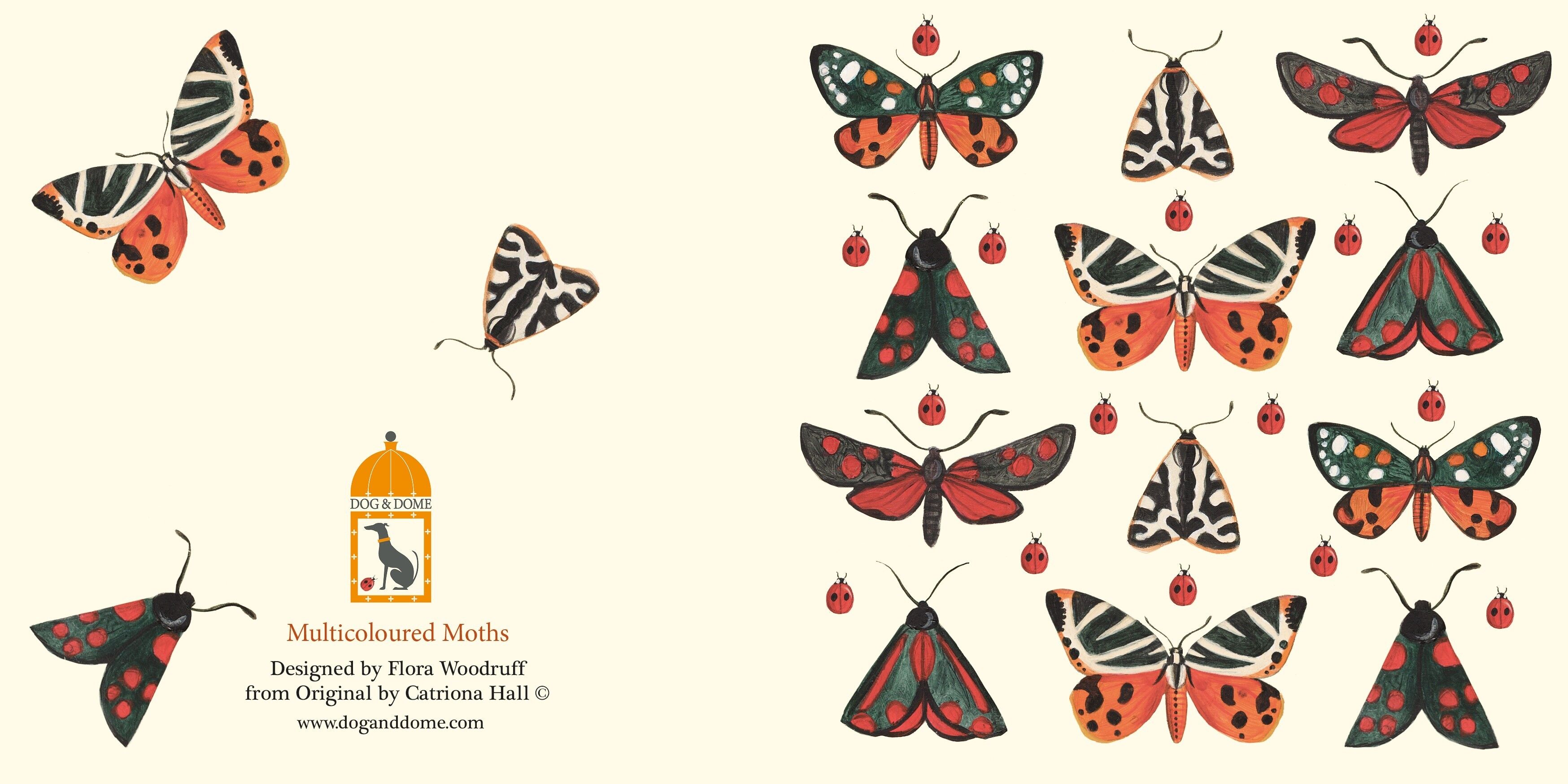 Carta Moths multicolore e busta riciclata