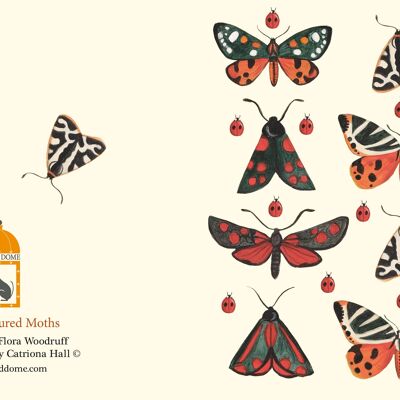 Carte Papillons multicolores et enveloppe recyclée