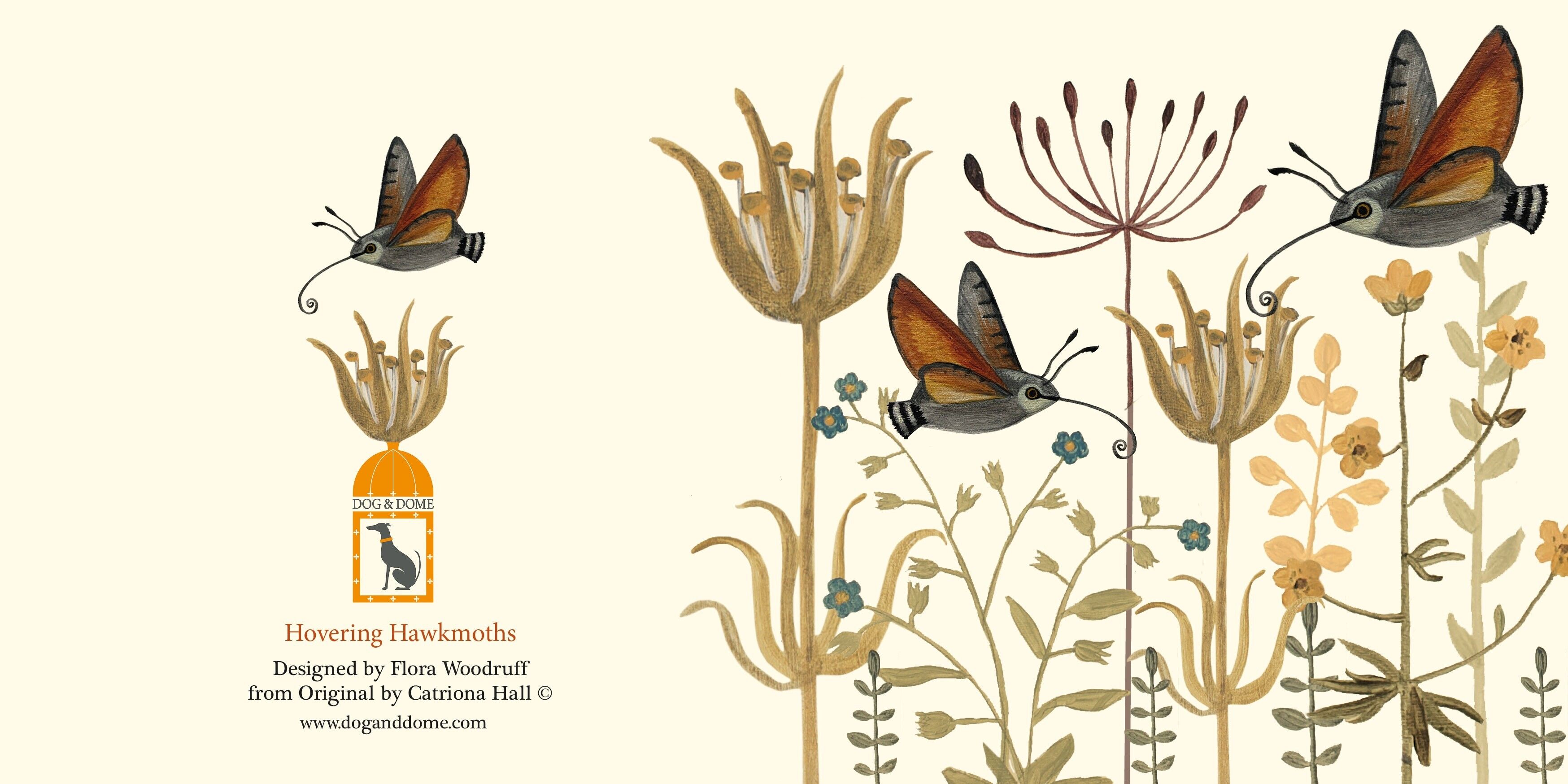 Biglietto Hawkmoths sospeso e busta riciclata