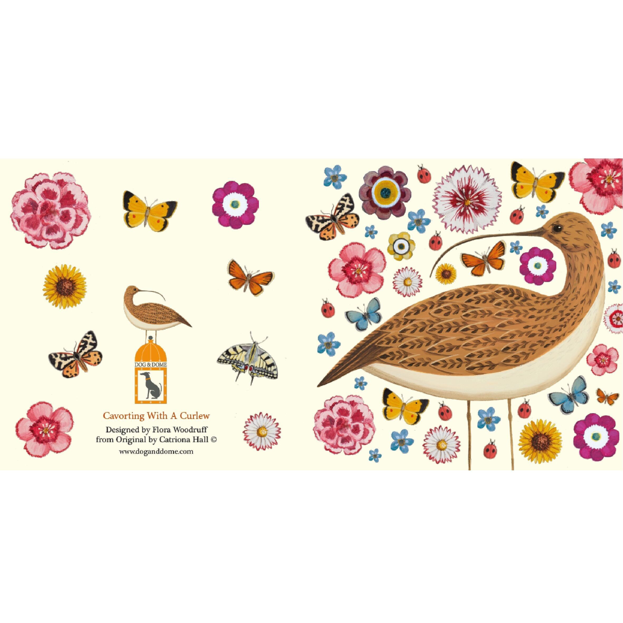 Biglietto Cavorting With A Curlew e busta riciclata