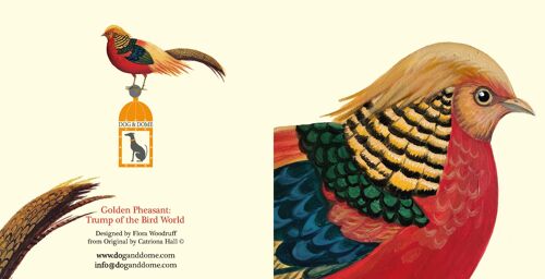 Golden Pheasant: Trump of the Bird World card and recyled envelope