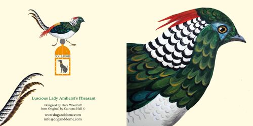 Luscious Lady Amherst's Pheasant card and recycled envelope