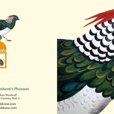 Luscious Lady Amherst's Pheasant card and recycled envelope