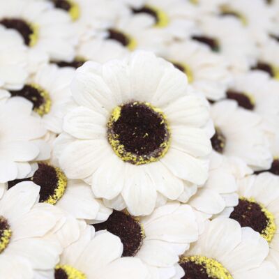 Soap Flowers - Small - Ivory Sunflower