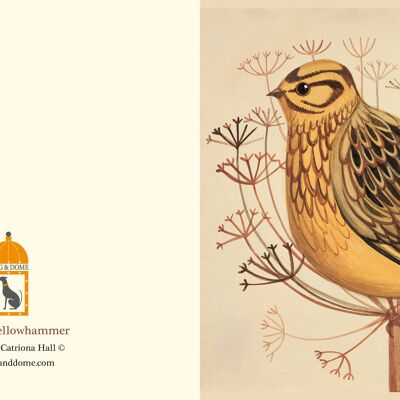 Tarjeta Mellow Yellowhammer y sobre reciclado