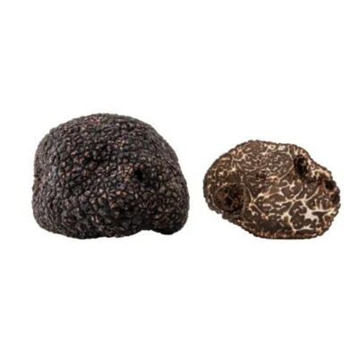 Truffe noire d'hiver 100 g - Tuber melanosporum