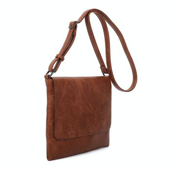 1682181 Camel Pochette 3