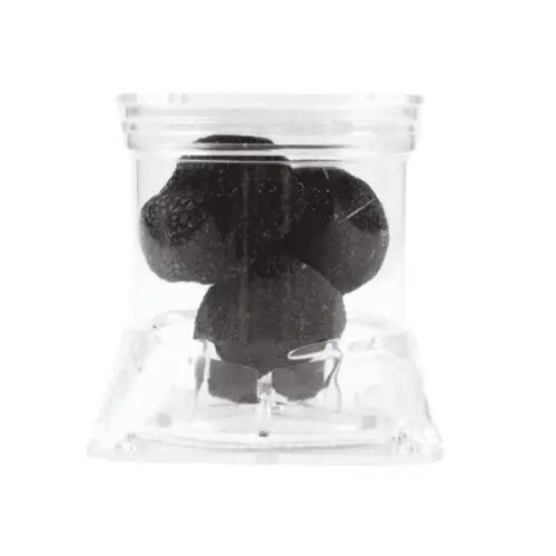 Black Truffle 40 g in Professional Tuber Pack