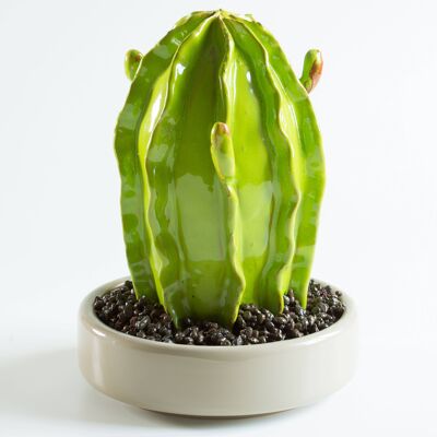 CACTUS EUPHORBIA CERAMIC PLANT