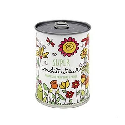 kit di semina "Super insegnante" prodotto in Francia