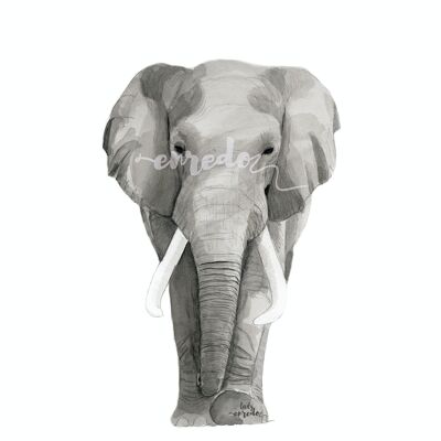 ILUSTRACIÓN Elefante