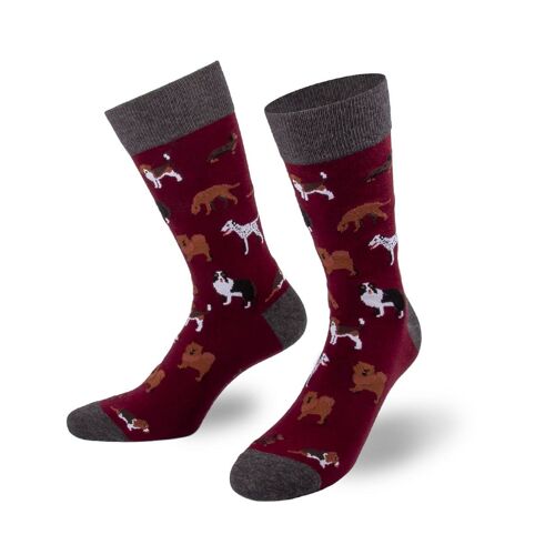 Hunde Socken  von PATRON SOCKS - BEQUEM, STYLISCH, EINZIGARTIG!