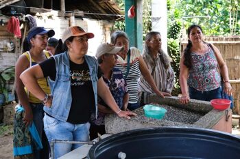 Café des femmes d'Asprocdegua, Guatemala 4