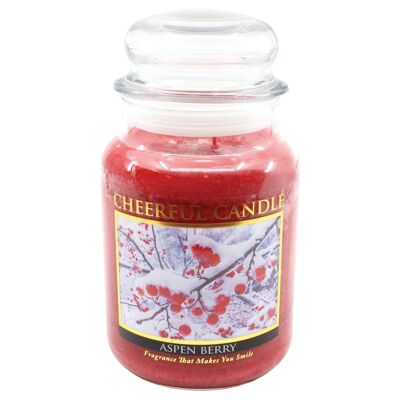 CHEERFUL CANDLE ASPEN BERRY SCENTED CANDLE