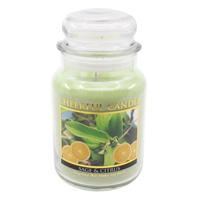 CHEERFUL CANDLE SAGE & CITRUS SCENTED CANDLE