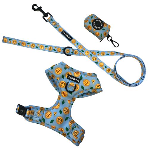 Barkeroni Harness Lead PBH Bundle