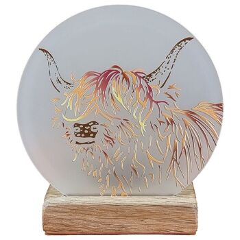 Bougie chauffe-plat Highland Cow Moments | M01 1